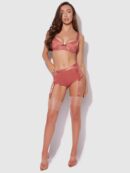Pia Mesh Cutout & High-Waist Garter Panty