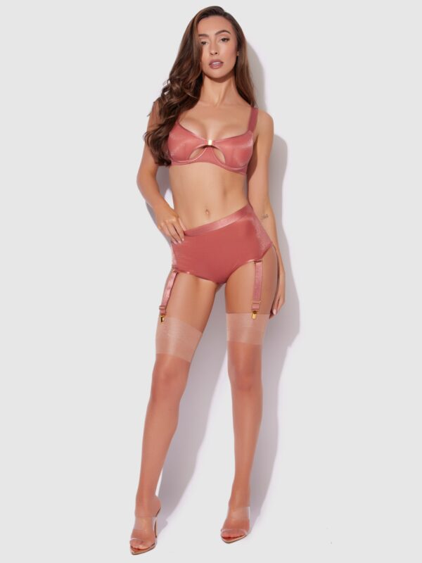Pia Mesh Cutout & High-Waist Garter Panty - Image 3