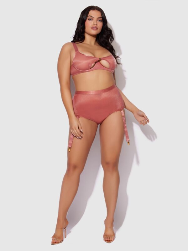 Pia Mesh Cutout & High-Waist Garter Panty - Image 7