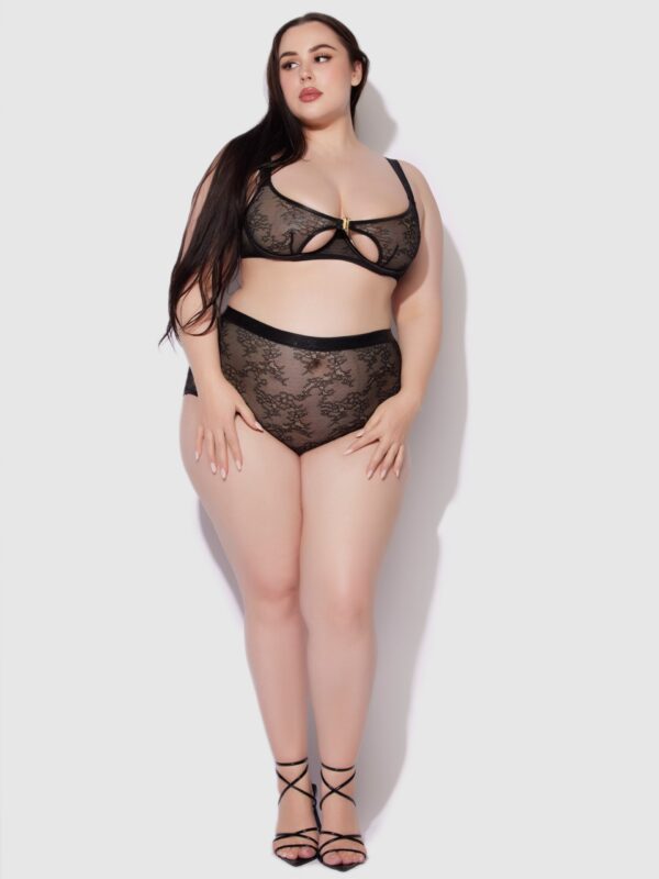 Pia Lace Cutout & High-Waist Garter Panty - Image 9