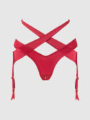 Pia Shine Mesh Open Crotch Tanga With Garters