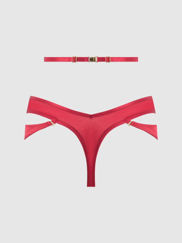 Pia Shine Mesh Open Crotch Tanga With Garters - Image 9