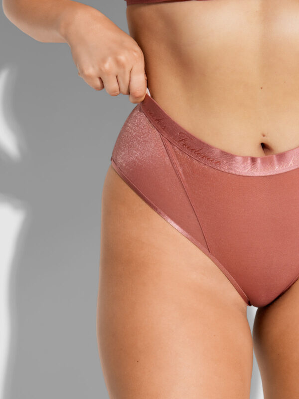 Pia Mesh Hipster - Image 2